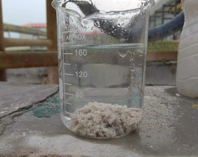 聚丙烯酰胺 聚丙烯酰胺